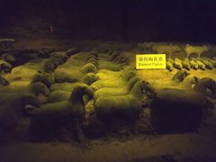 -汉景帝阳陵博物院