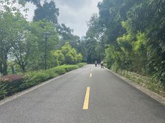 -张坝桂圆林公园