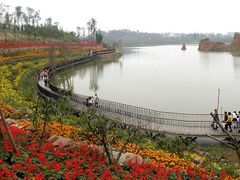 -白鹭湾湿地公园