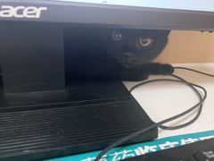 -瑞派康怡24h宠物医院·犬猫医疗中心·微创绝育(瑞景分院)
