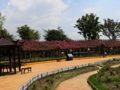 -武汉紫薇都市田园