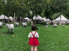 -九十九顶毡房(阜石路店)