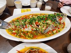 飞虹鱼-飞虹鱼馆(春华路店)