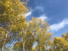 -绿堤公园