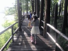 -东湖落雁景区