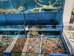-启东小海鲜(庄先湾路1号店)