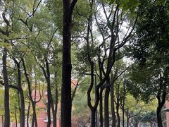 -四川大学(望江校区)