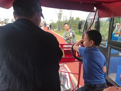 -上海长兴岛郊野公园