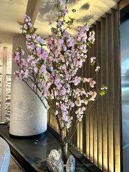 -VELEE·SPA高定疗愈会所