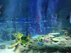 -沈阳海洋探索中心