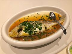 家烧大陈黄鱼-双鸽和平国际酒店-中餐厅