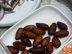 -龙小海荆沙鸽子店(瑞安街店)