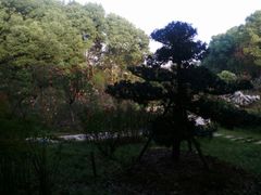 -东湖落雁景区