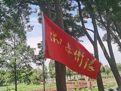 -洪湖生态旅游区