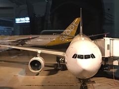 -杭州萧山国际机场