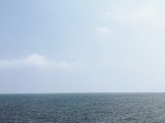 -东疆建设开发纪念公园