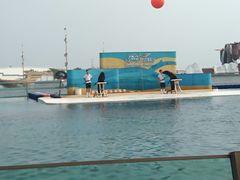 -秦皇岛乐岛海洋王国