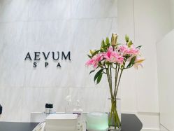 -奥斯芬欧系贵族SPA