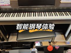 -雅歌音乐培训中心·钢琴培训·乐器培训(交道口店)