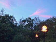 景点-印象普陀