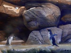 -厦门老院子景区