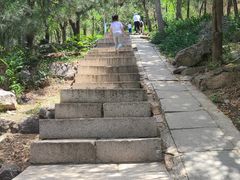 -北京十三陵国家森林公园蟒山景区