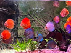 -上海海洋水族馆