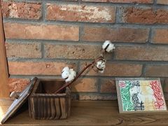 -春庄咖啡SpringHues(钟楼小区店)