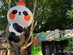 -西安电影制片厂