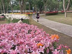 -无锡梅园公园