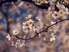 -永乐路-路侧停车场