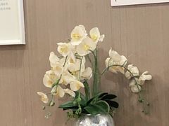 -爱康国宾体检中心(五角场万达广场分院)