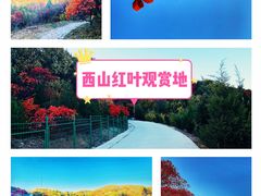 -鬼笑石后山停车场