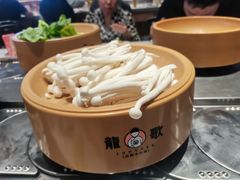 -龍歌自助小火锅(李沧顺和汇店)