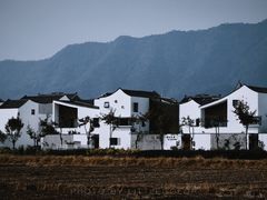 -东梓关景区村庄