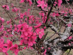 -象头山国家级自然保护区
