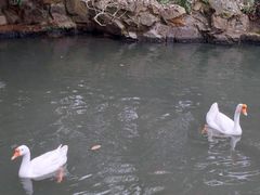 -兰亭风景区