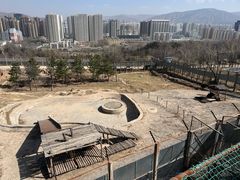 -青藏高原野生动物园