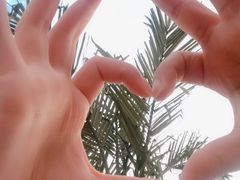 -东方饺子王(新奥购物中心店)