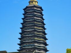 -红梅公园