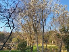 -杭州植物园