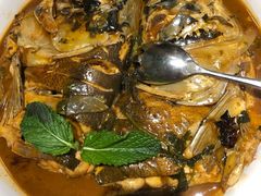 野生南湾鱼一鱼两吃-解家河南菜(商鼎路店)