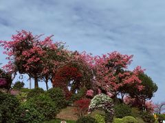 -东莞植物园