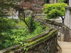-塔川景区