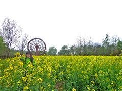 -溱湖国家湿地公园