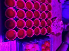 -喜鹊音乐酒馆(西街店)