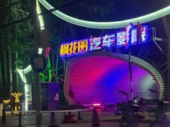 -枫花园汽车电影院(朝阳公园店)