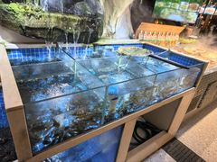 -头上红煨盐鸡·非遗院子餐厅