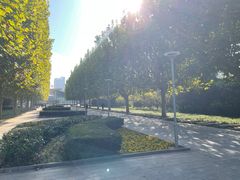 -郑州植物园