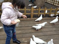 -知味观(湖滨总店)